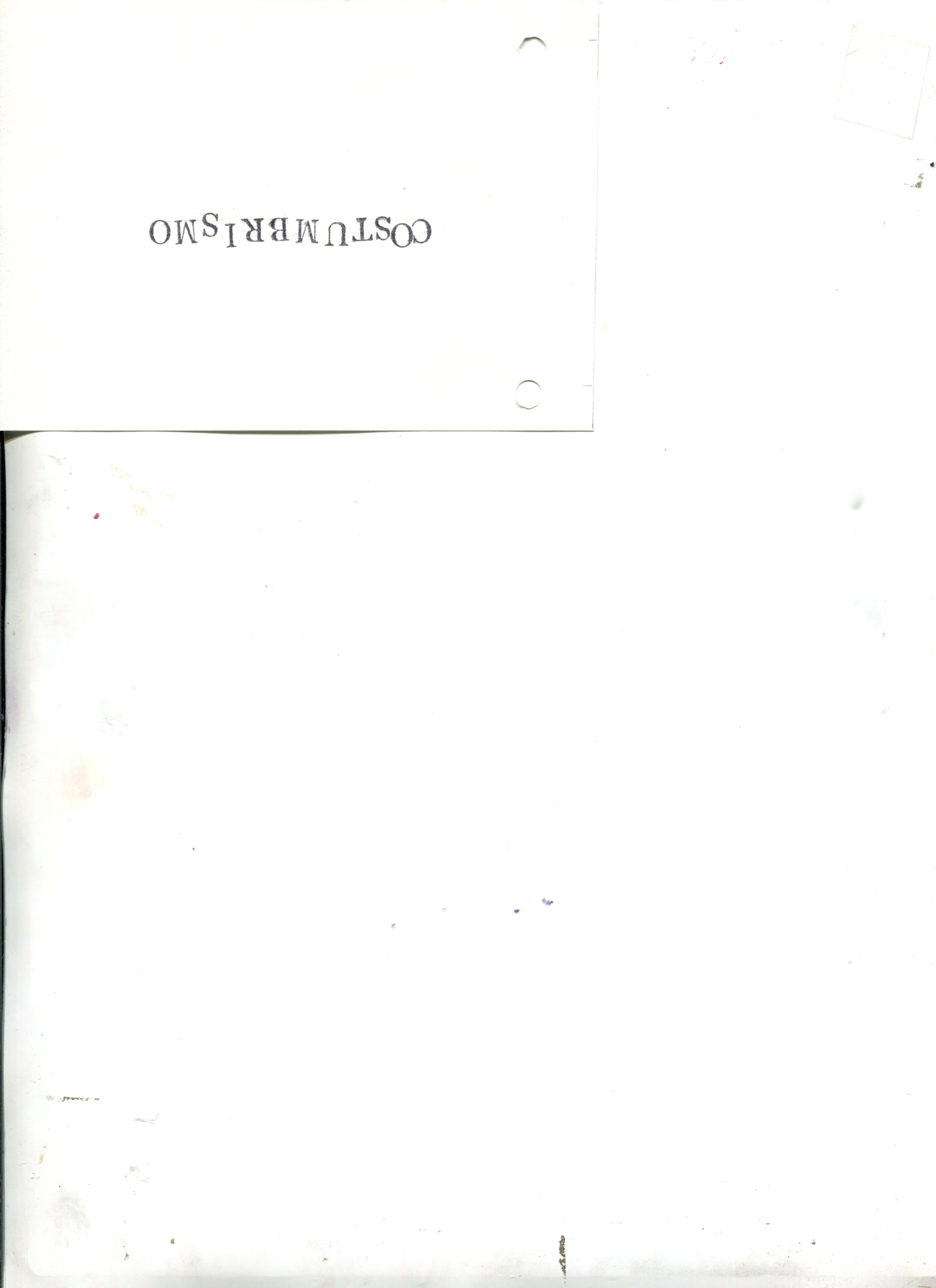 Imagen 8